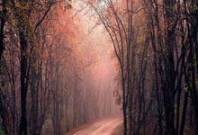 歐國聯小組賽第3輪瑞士0-1西班牙 略倫特助攻薩拉維亞破門.