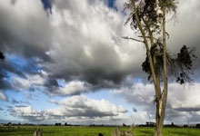 优德体育:上海相亲角现状:地里白菜烂成堆,猪圈的猪饿断肠!.