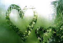 新时代“银龄行动”启动 助力老年人参与志愿服务.